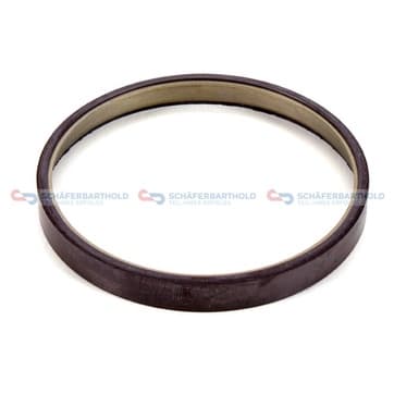 Givare, Ring, ABS