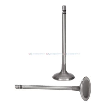 Insugningsventil Ø-30 Ø-5 45Grad 97mm från Autofrance