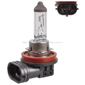 Lampa, Dimljus, fram H11 24V 70W PGJ19-2