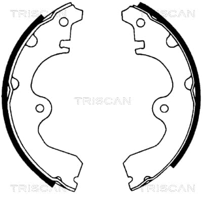 Bromsbackar från TRISCAN