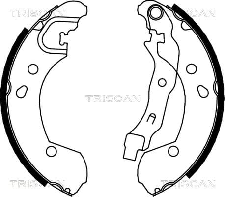 Bromsbackar från TRISCAN