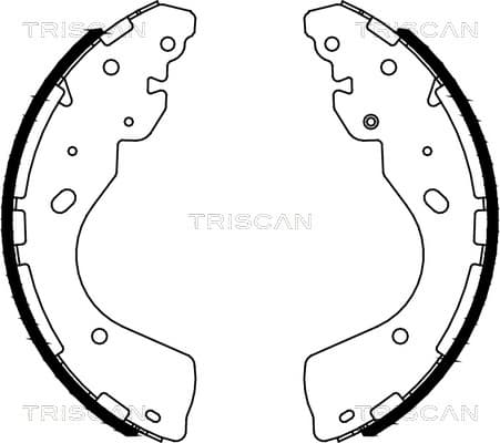 Bromsbackar från TRISCAN
