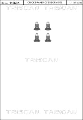 Skruv från TRISCAN