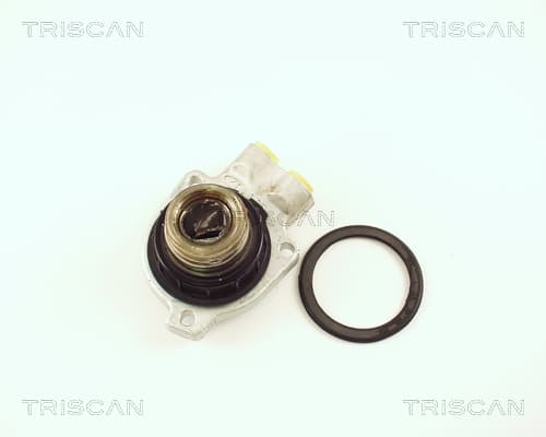 Slavcylinder från TRISCAN
