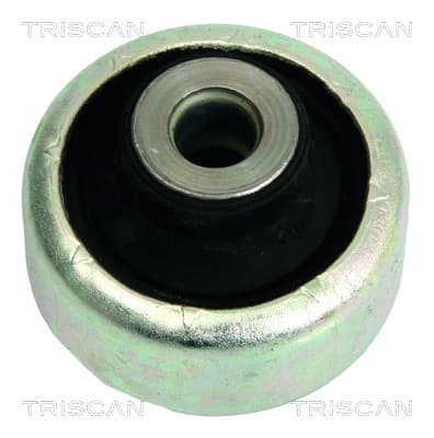 Bussning från TRISCAN