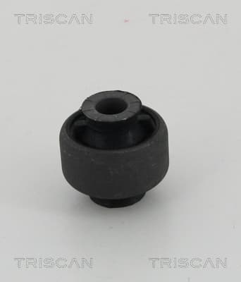 Bussning från TRISCAN