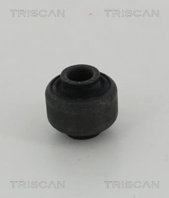 Bussning från TRISCAN