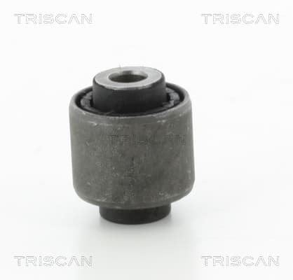 Bussning från TRISCAN