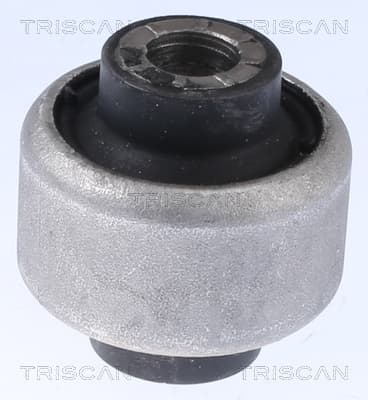 Bussning från TRISCAN