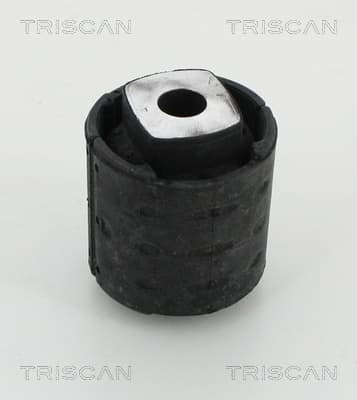Bussning bakaxel från TRISCAN