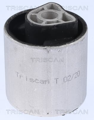 Bussning från TRISCAN
