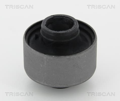 Bussning från TRISCAN