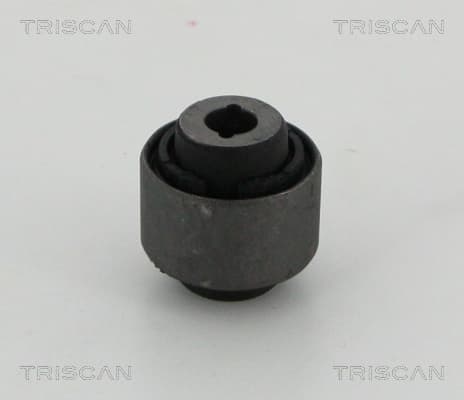 Bussning från TRISCAN