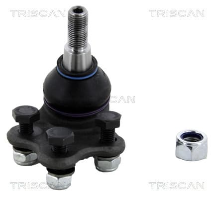 Spindelled nedre