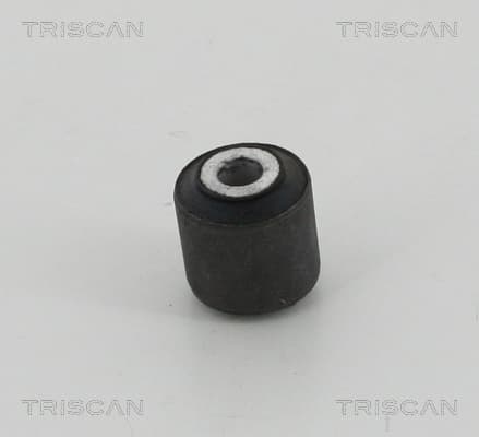 Bussning från TRISCAN