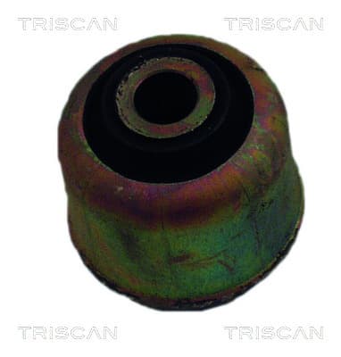 Bussning från TRISCAN