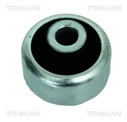 Bussning från TRISCAN