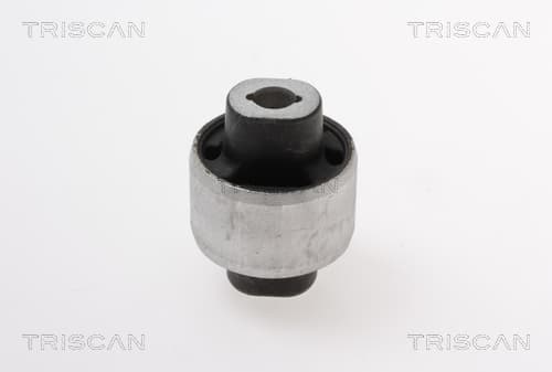 Bussning från TRISCAN
