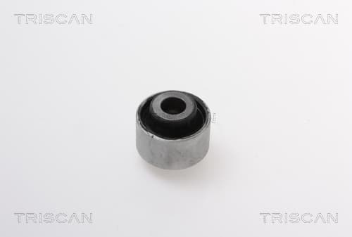 Bussning från TRISCAN