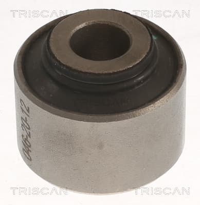 Bussning från TRISCAN
