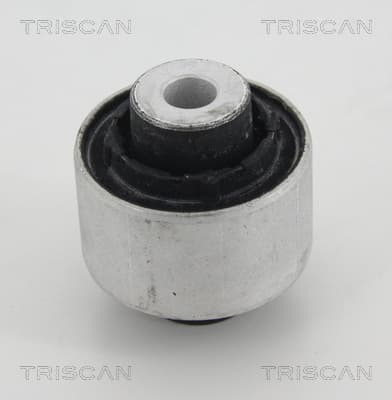 Bussning från TRISCAN