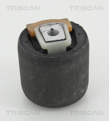 Bussning från TRISCAN