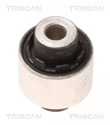 Bussning från TRISCAN