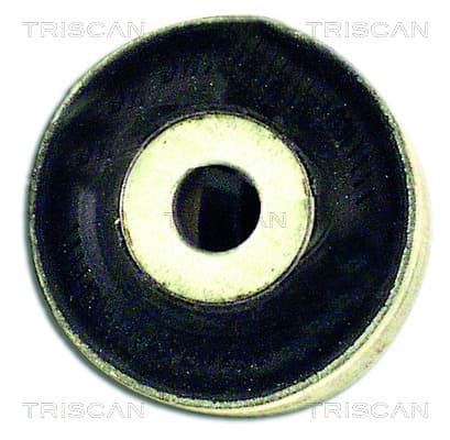 Bussning från TRISCAN