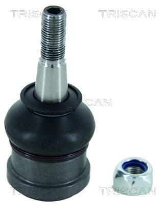 Spindelled nedre