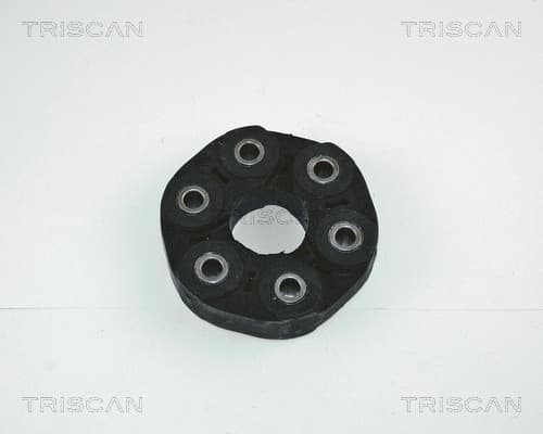 Medbringare från TRISCAN