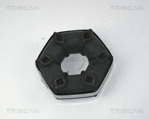 Medbringare från TRISCAN