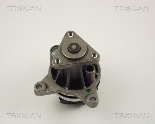 Vattenpump från TRISCAN