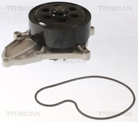 Vattenpump från TRISCAN