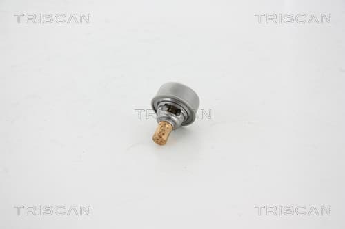 Termostat