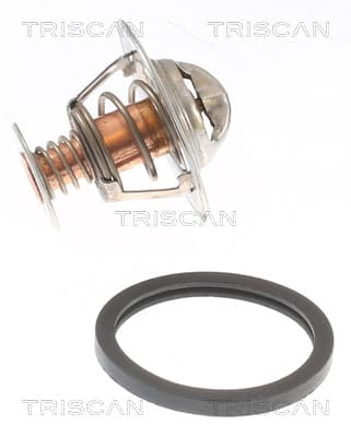 Termostat från TRISCAN