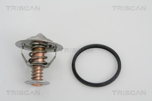 Termostat från TRISCAN