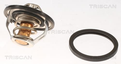 Termostat från TRISCAN