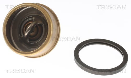 Termostat från TRISCAN