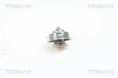 Termostat från TRISCAN