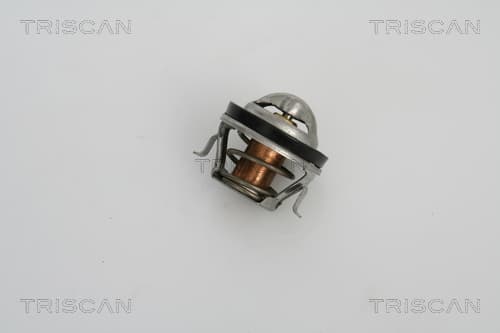 Termostat från TRISCAN