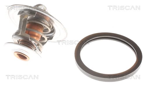 Termostat från TRISCAN