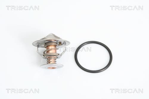 Termostat från TRISCAN