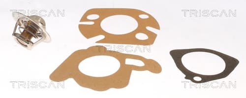 Termostat från TRISCAN
