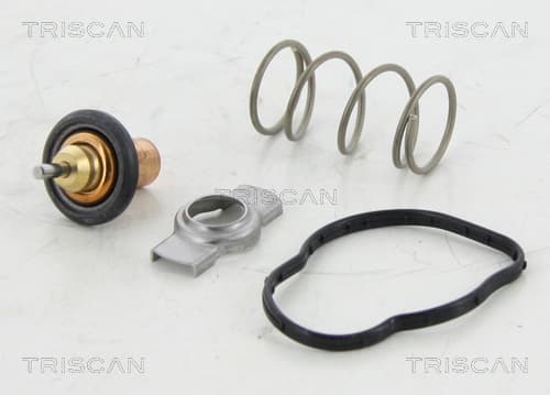 Termostat, indsats