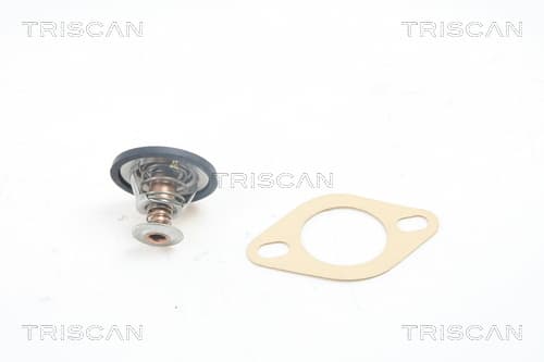 Termostat från TRISCAN