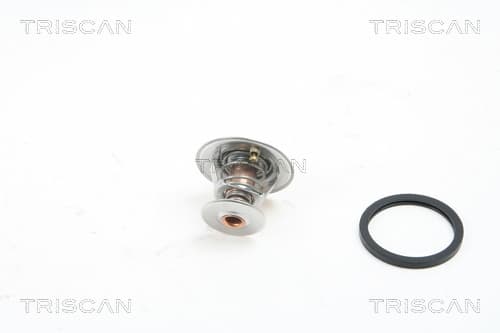 Termostat från TRISCAN