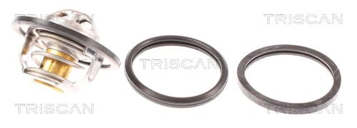 Termostat från TRISCAN