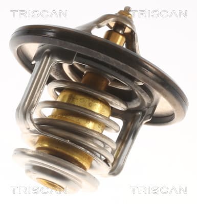 Termostat från TRISCAN