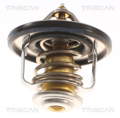 Termostat från TRISCAN