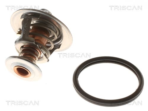Termostat från TRISCAN